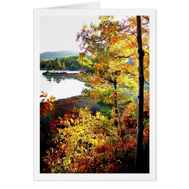 Acadian Vista (Front)