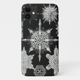 Acanthophracta, Wunderstrahlinge Aquatic Animal iPhone 11 Case