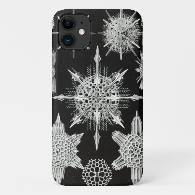 Acanthophracta, Wunderstrahlinge Aquatic Animal Case-Mate iPhone Case (Back)