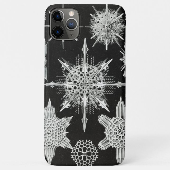 Acanthophracta, Wunderstrahlinge Aquatic Animal Case-Mate iPhone Case (Back)