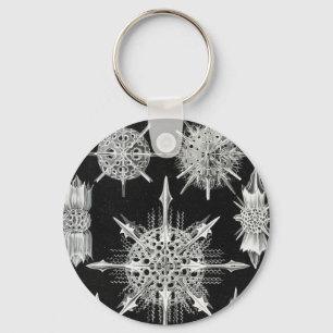 Acanthophracta, Wunderstrahlinge Aquatic Animal Keychain