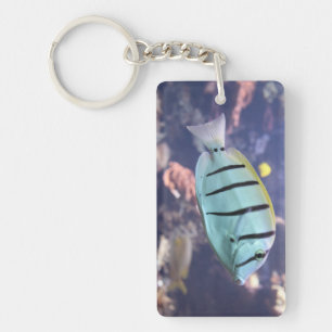 Acanthurus triostegus keychain