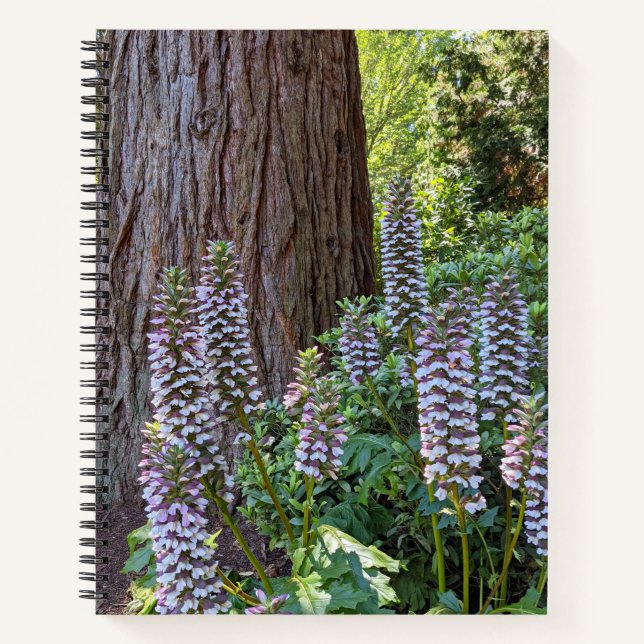 Acanthus/Bear's Breeches Floral Notebook (Front)