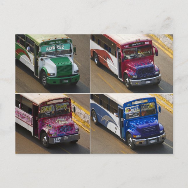 Acapulco buses postcard (Front)