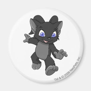 Acara Shadow Magnet