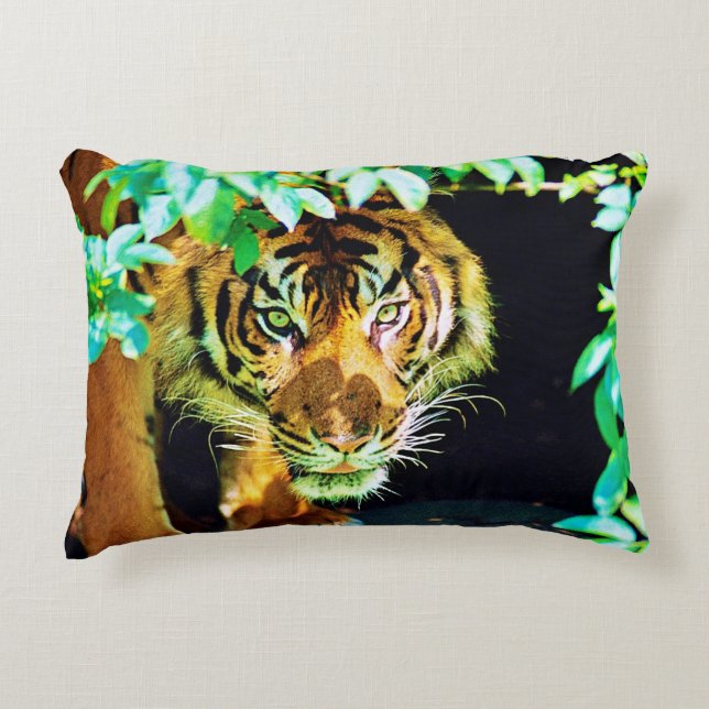 Accent Coussin (Devant)