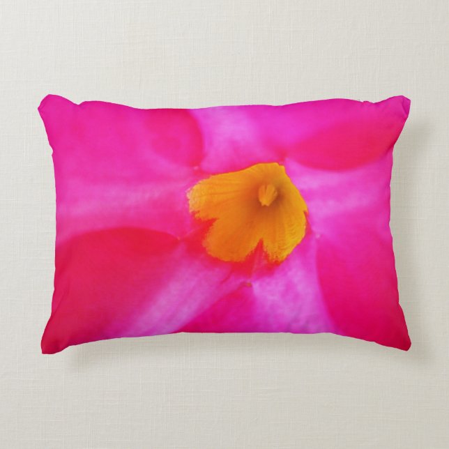 Accent Coussin (Devant)