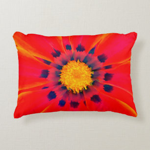 Accent Coussin