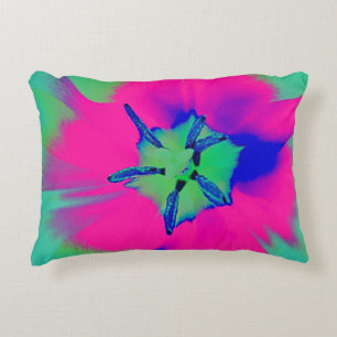 Accent Coussin