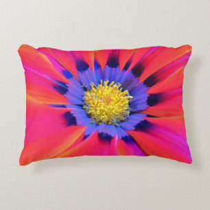 Accent Coussin