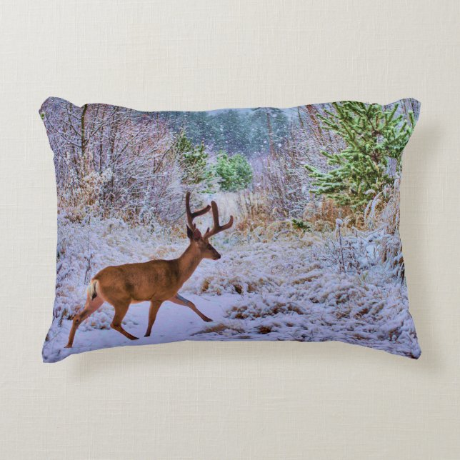 Accent cushion (Front)