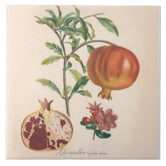 Accent décoratif de cuisine de carreau de