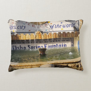 Accent Kussen Accent Pillow