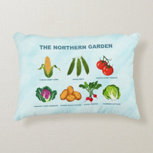 Accent Pillow