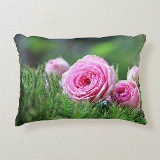 Accent Pillow