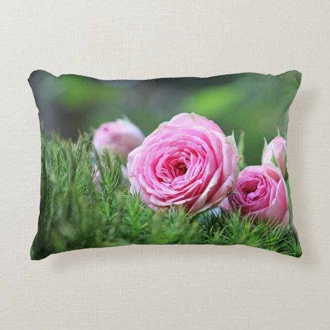 Accent Pillow (Front)