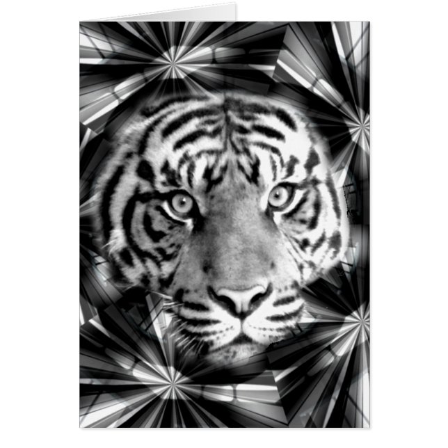 Accepting Me_ (Front)