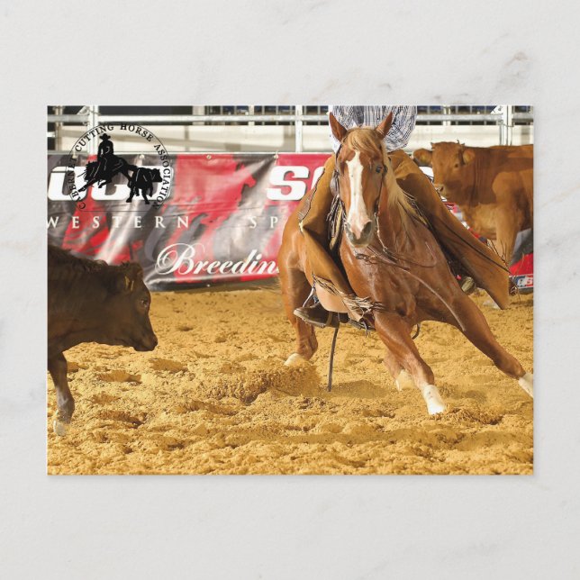 Accessoires Cabernet CHA Carte Postale 5 (Devant)