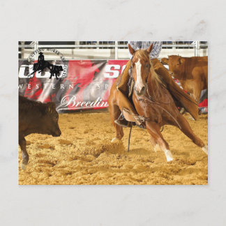 Accessoires Cabernet CHA Carte Postale 5 Postcard