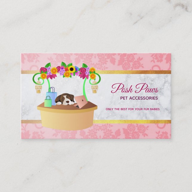 Accessoires pour animaux de compagnie Carte de vis (Devant)