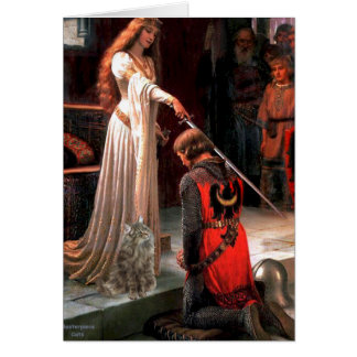 Accolade - Norwegian Forest Cat