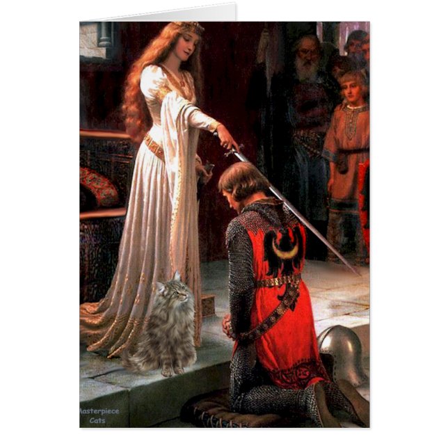 Accolade - Norwegian Forest Cat (Front)