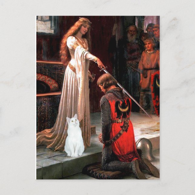 Accolade - White cat Postcard (Front)