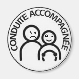 accompanied driving magnet