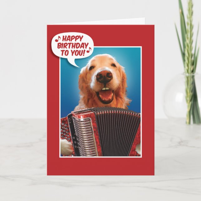 Accordion-Playing Golden Retriever Birthday Card (Front)