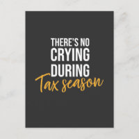Accountant In Tax Season