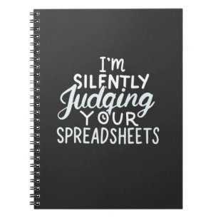 Accountant Judging Your Spreadsheets Notebook