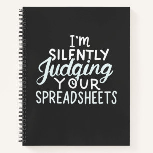 Accountant Judging Your Spreadsheets Notebook