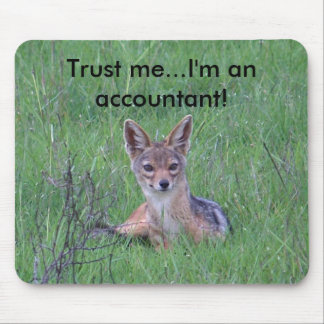Accountant mousepad