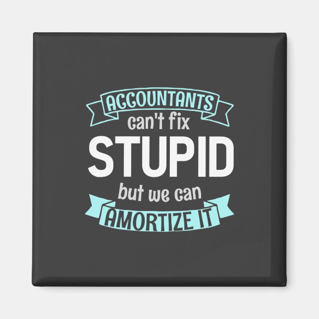Accountants Can Amortize It Magnet (Front)