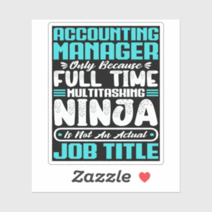 Accounting Manager Job Title Professional Skills