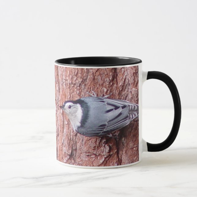 Accrochage dans la tasse d'oiseau de sittelle (Droite)