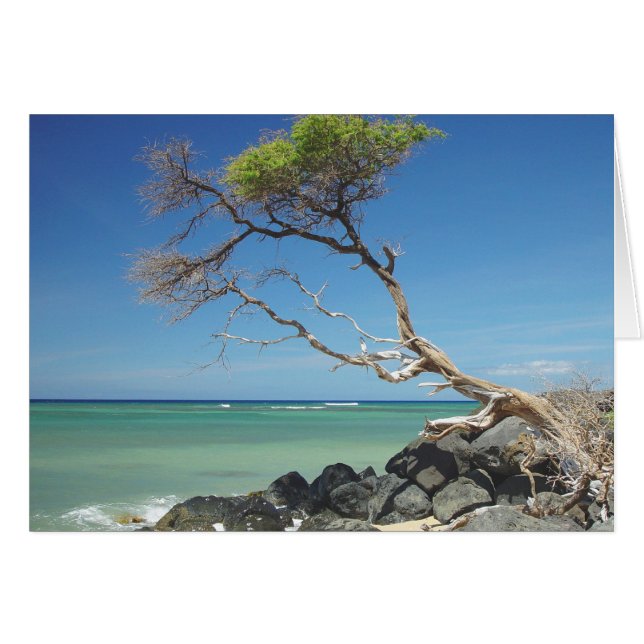 Accroché (Devant horizontal)