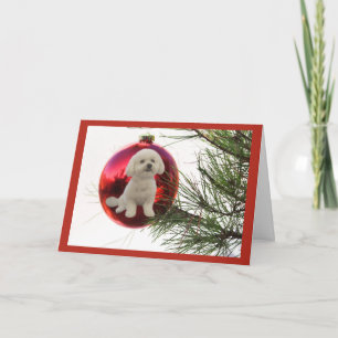 Accrocher de boule de carte de Noël de Bichon