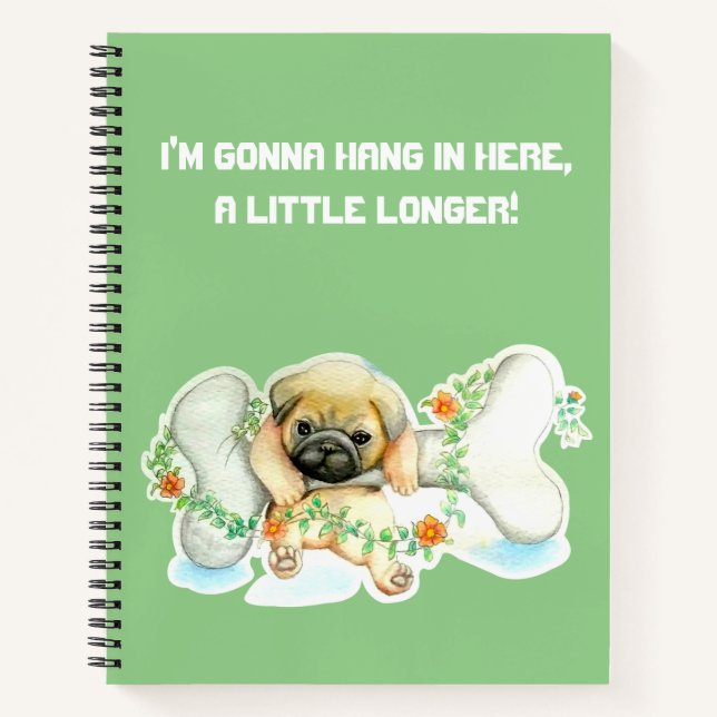 Accrochez-Vous Ici Carnet Spiral (Devant)