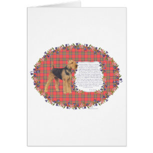 Accueil Airedale - Gallois - Lakeland