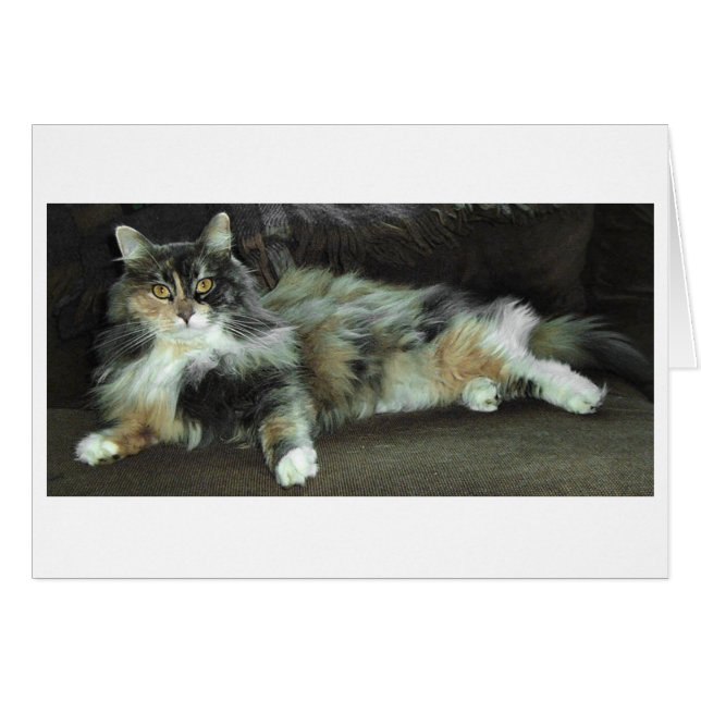 Accueil de la chasse, En attendant le dîner (Devant horizontal)