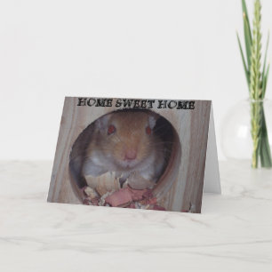 ACCUEIL SWEET HOME Carte "Missing You"