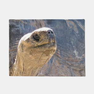 Accueil Tortoise - Tapis de porte