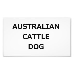 acd name photo print