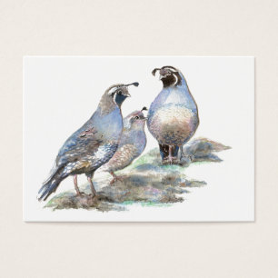 ACEO ATC California Quail