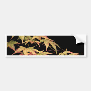Acer Bumper Sticker