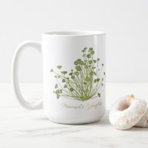 Acetabularia Mug d'algues