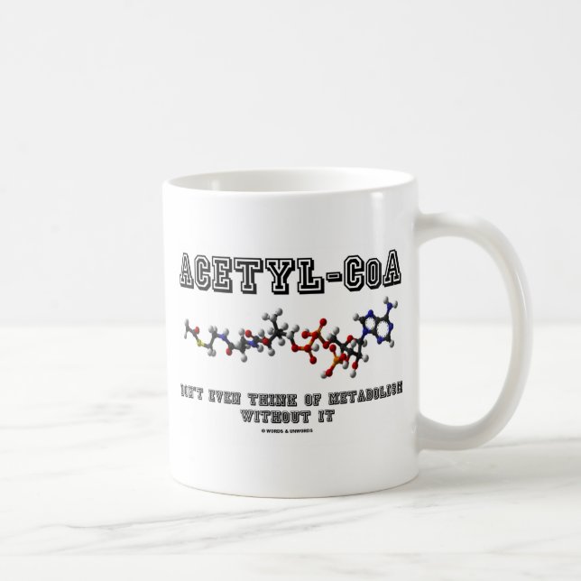 Acetyl-CoA Don't Even Think Of Metabolism Without Coffee Mug (Right)
