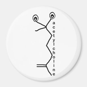 acetylcholine magnet