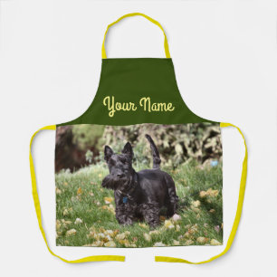 Ach Apron